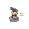 Skull with Resin Crow