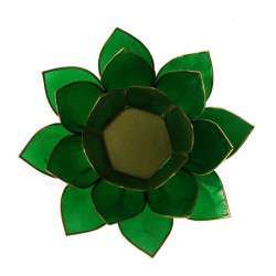 Lotus Iluminacion Verde