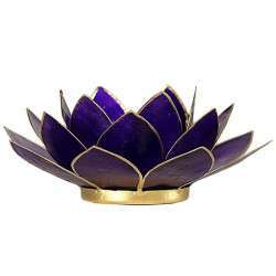 Lotus Purple Lighting