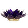 Iluminación Lotus Purpura