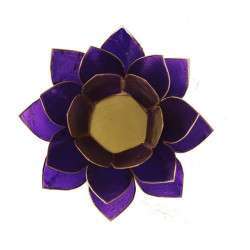 Lotus Purple Lighting
