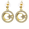 Earrings with a golden moon and star.