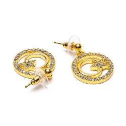 Earrings with a golden moon and star.