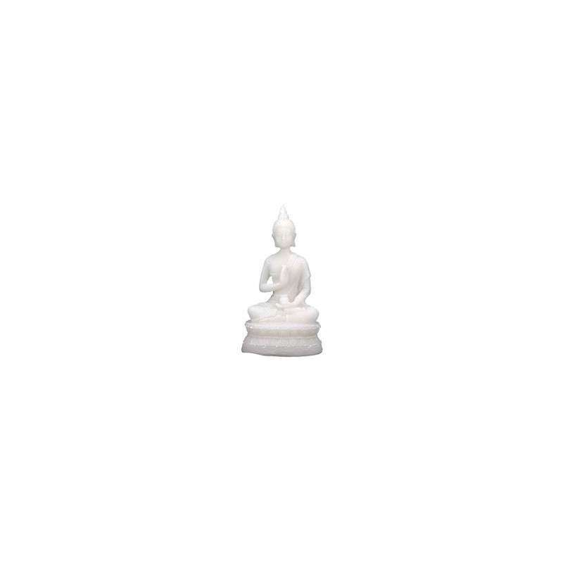 Buddha statue with Amrita vase