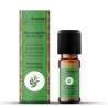 Oleo Essencial de Tea Tree