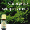 Aceite esencial de ciprés (Cupressus Sempervirens) 100% puro